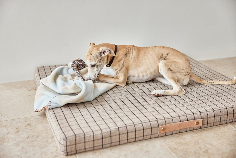 Kaya Dog Blanket - Medium