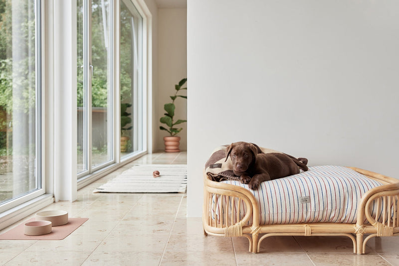 Kaya Dog Blanket Small 5