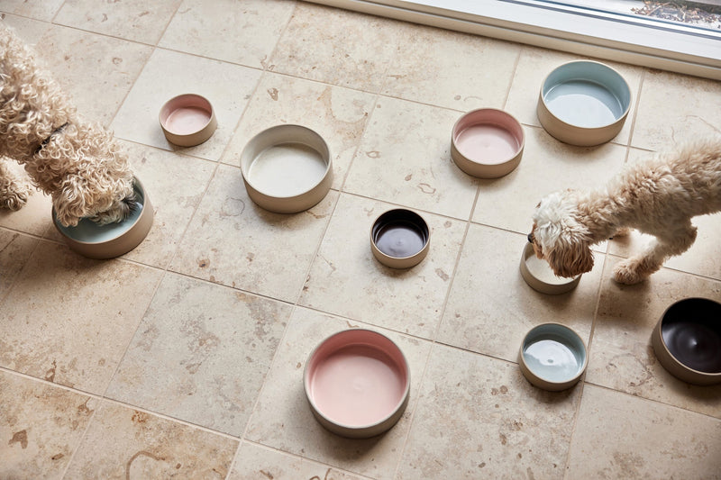 Sia Dog Bowl Medium 6