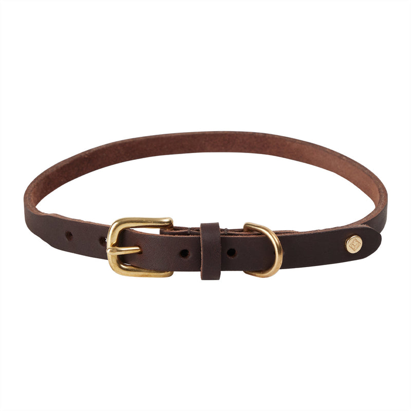Robin Dog Collar Choko 4
