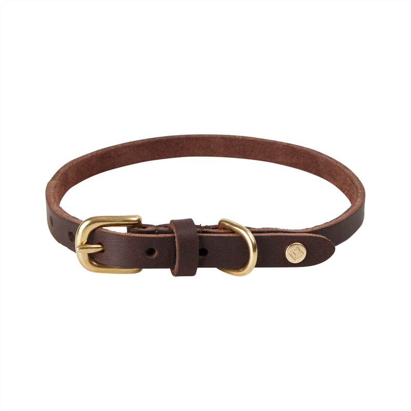 Robin Dog Collar Choko 3