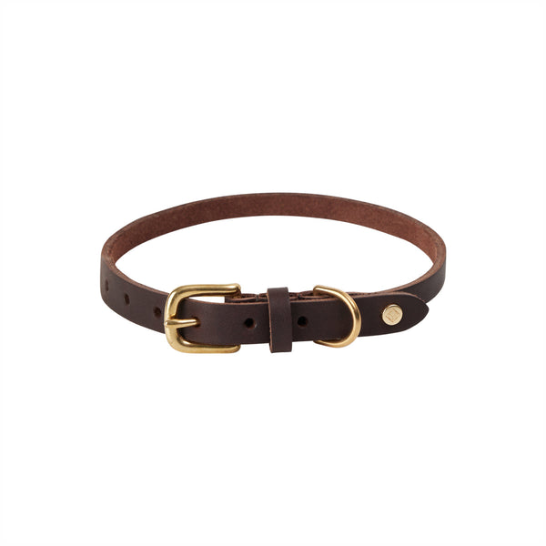 Robin Dog Collar Choko 1