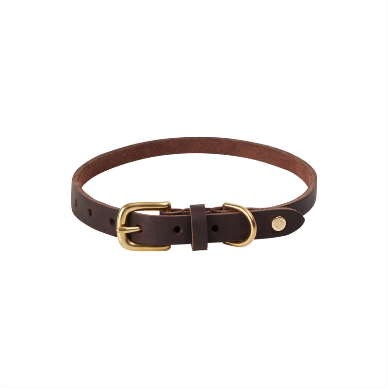 Robin Dog Collar Choko 1