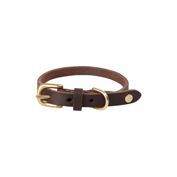 Robin Dog Collar Choko 2