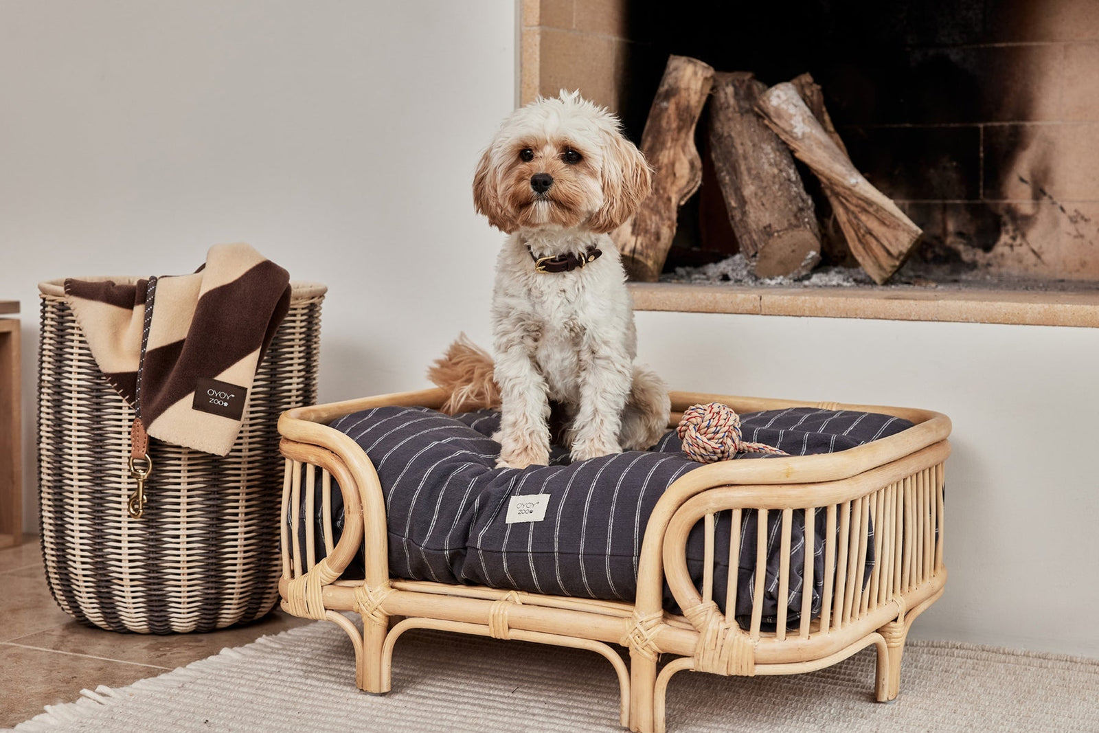 Cushion dog shop