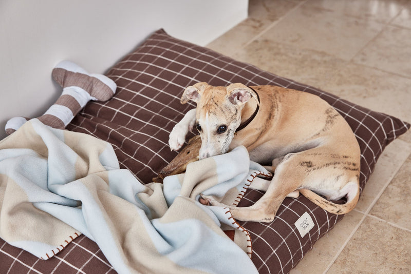 Kaya Dog Blanket - Large