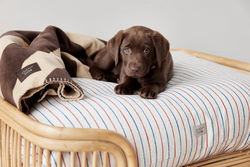 Kaya Dog Blanket - Large