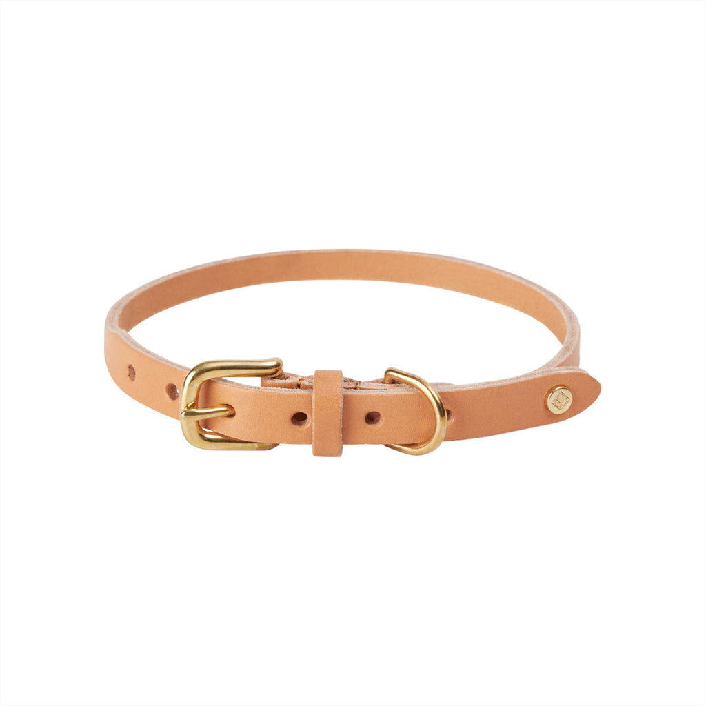Robin hot sale dog collar